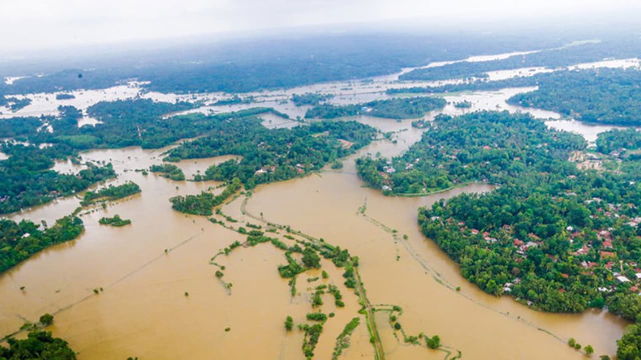 ಜೀವ ವೈವಿಧ್ಯಕ್ಕೆ ಕಾದಿದೆಯಾ ಗಂಡಾಂತರ : ಭಾರೀ ಆತಂಕ ಜೀವ ವೈವಿಧ್ಯಕ್ಕೆ ಕಾದಿದೆಯಾ ಗಂಡಾಂತರ : ಭಾರೀ ಆತಂಕ