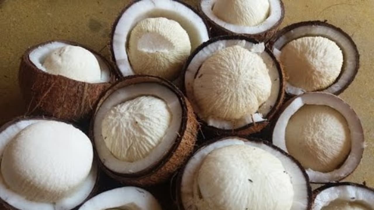 தைராய்டு வியாதிக்கு இனி மருந்து மாத்திரை தேவையில்லை.... இதை சாப்பிட்டாலே போதும்... தைராய்டு வியாதிக்கு இனி மருந்து மாத்திரை தேவையில்லை.... இதை சாப்பிட்டாலே போதும்...