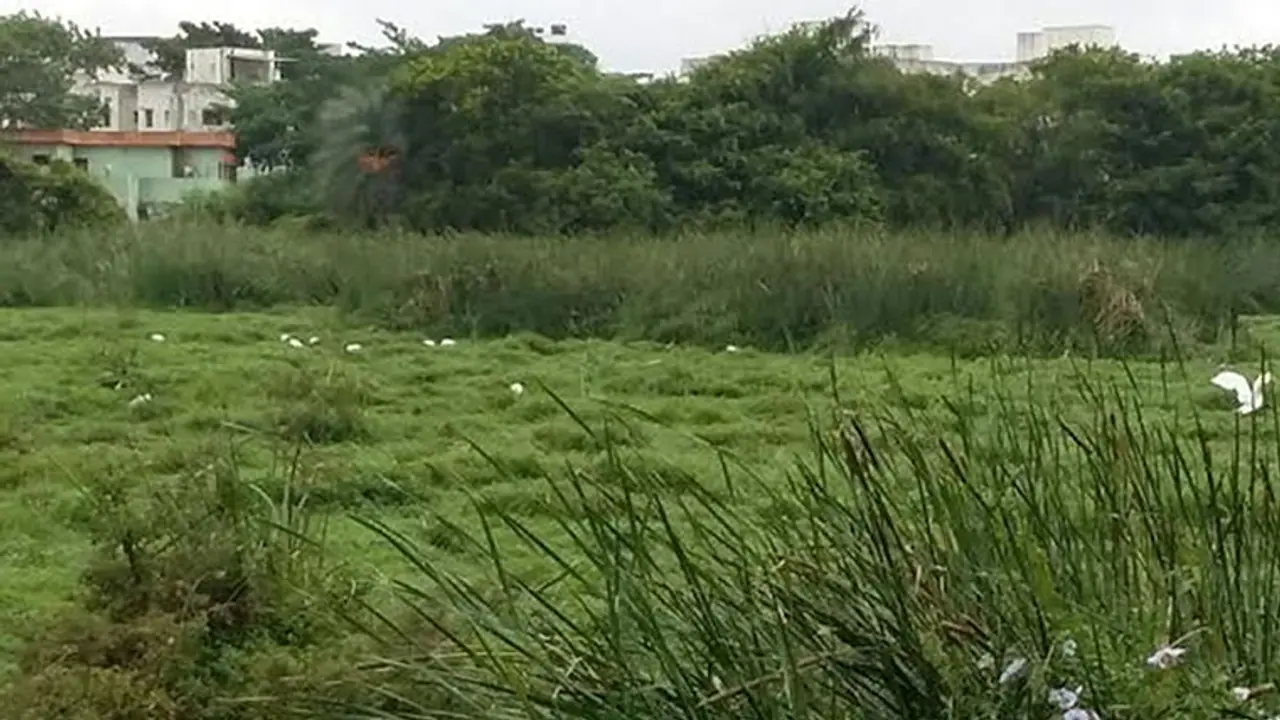 BBMP asks encroachers around Subramanyapura lake to vacate within 48 hours BBMP asks encroachers around Subramanyapura lake to vacate within 48 hours