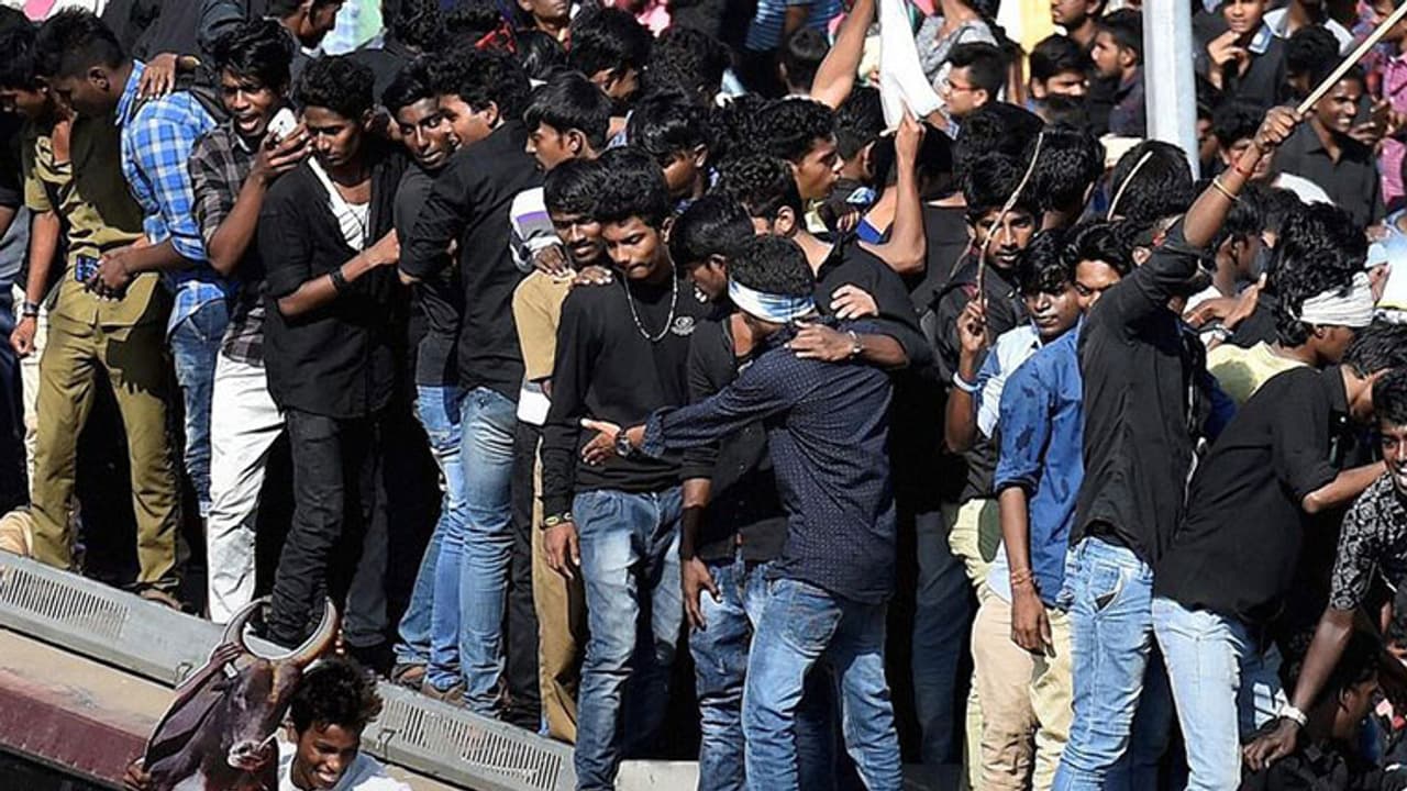 ഈ ജെല്ലിക്കെട്ട് കാള കുതറിയോടുന്നത് എങ്ങോട്ട്? ഈ ജെല്ലിക്കെട്ട് കാള കുതറിയോടുന്നത് എങ്ങോട്ട്?