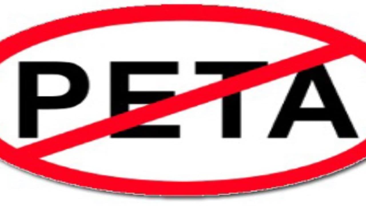 பீட்டா’ அமைப்புக்கு விரைவில் தடை ? ஜல்லிக்கட்டு விவகாரத்தைத் தொடர்ந்து மத்திய அரசு அதிகாரப்பூர்வ பரிசீலனை பீட்டா’ அமைப்புக்கு விரைவில் தடை ? ஜல்லிக்கட்டு விவகாரத்தைத் தொடர்ந்து மத்திய அரசு அதிகாரப்பூர்வ பரிசீலனை