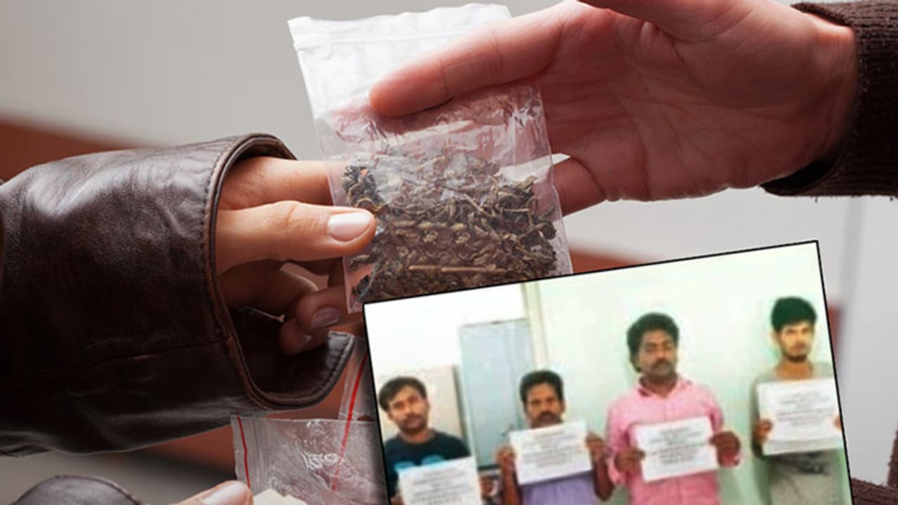 Drug peddling: Nigerian among 8 arrested in a single day in Bengaluru Drug peddling: Nigerian among 8 arrested in a single day in Bengaluru