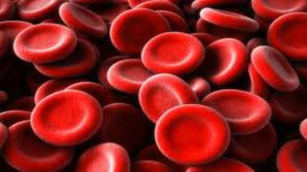 ಮಣಿಪಾಲ ವೈದ್ಯರಿಂದ ಹೊಸ ಮಾದರಿ ರಕ್ತದ ಗುಂಪು ಪತ್ತೆ