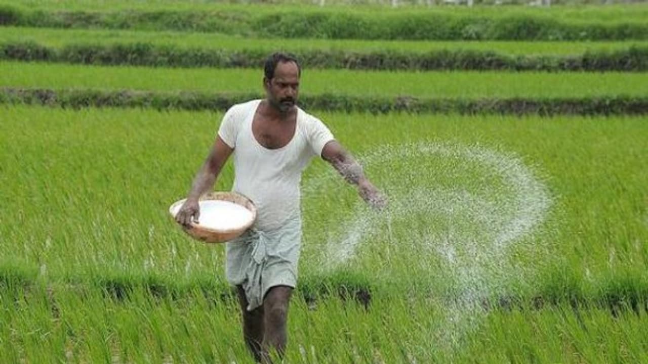 உரச் செலவை குறைக்க இரண்டு எளிய வழிகள் இதோ உங்களுக்காக... உரச் செலவை குறைக்க இரண்டு எளிய வழிகள் இதோ உங்களுக்காக...