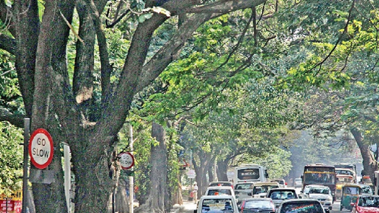 ಇಂದಿನಿಂದ 3 ದಿನ ಬೆಂಗಳೂರಲ್ಲಿ ಜಿ20 ದೇಶಗಳ ಸಭೆ