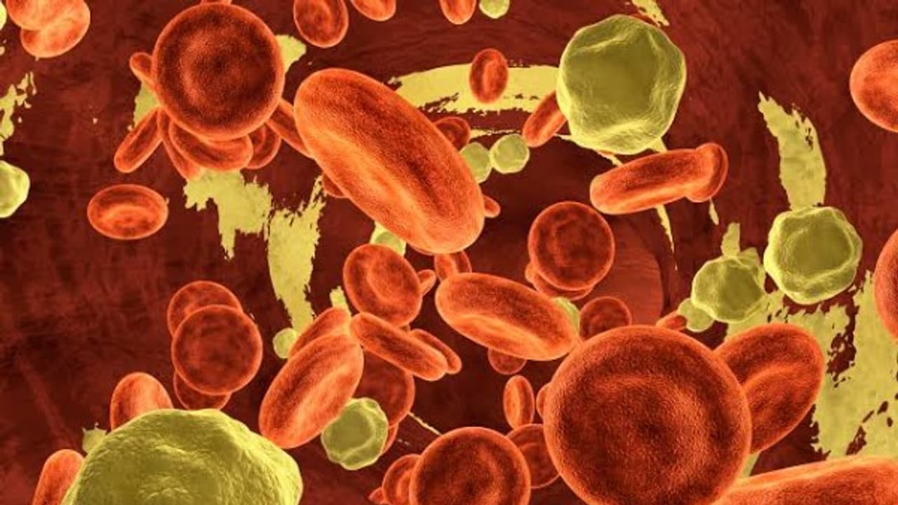 இந்த மூன்றுப் பொருட்களை வைத்து இரத்தத்திலுள்ள கொழுப்பை முற்றிலுமாக நீக்கலாம்… இந்த மூன்றுப் பொருட்களை வைத்து இரத்தத்திலுள்ள கொழுப்பை முற்றிலுமாக நீக்கலாம்…