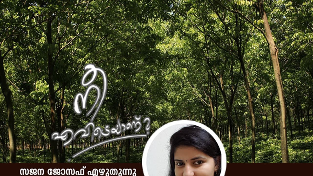ഷബീറിക്കാ, പാലപ്പിള്ളി എസ്റ്റേറ്റില് വഴിതെറ്റിപ്പോയ ആ കൊച്ചുകുട്ടി ഞാനാണ്! ഷബീറിക്കാ, പാലപ്പിള്ളി എസ്റ്റേറ്റില് വഴിതെറ്റിപ്പോയ ആ കൊച്ചുകുട്ടി ഞാനാണ്!