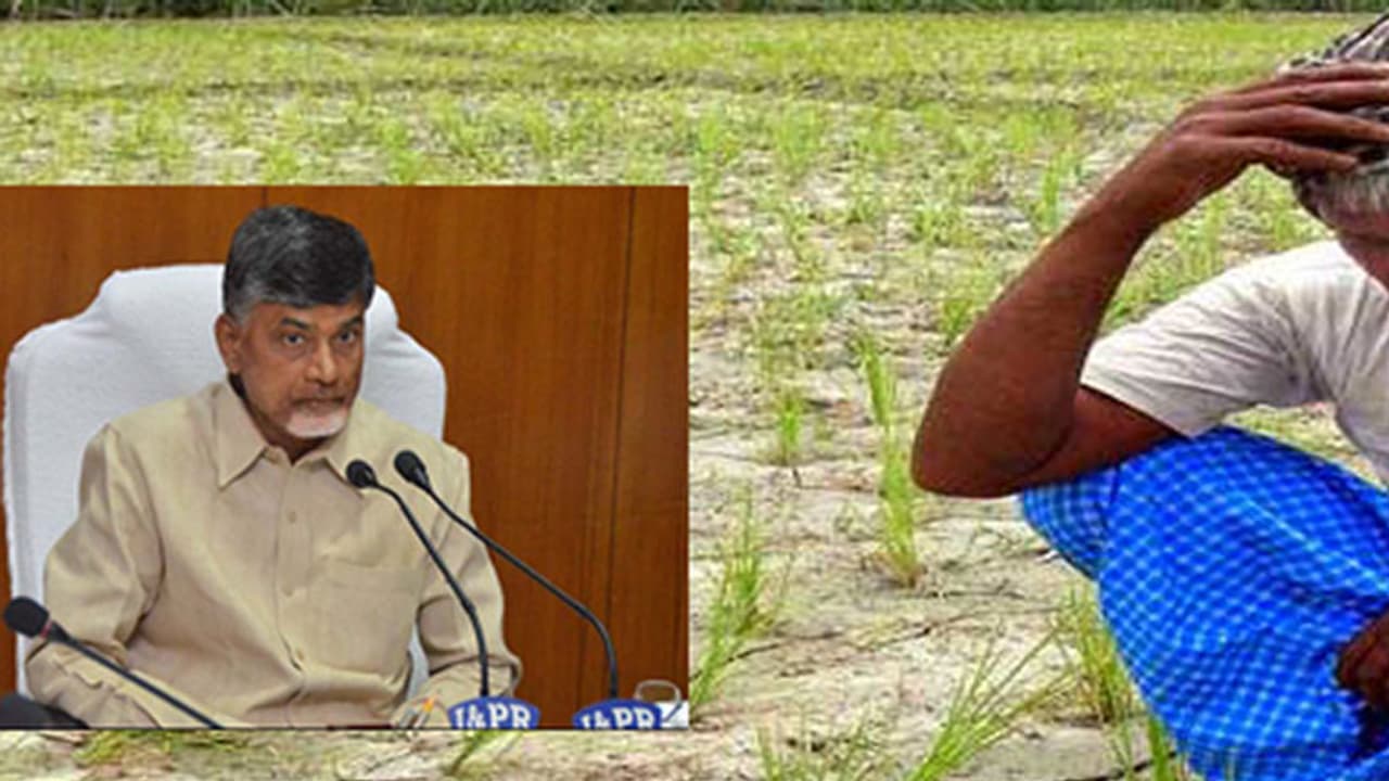 రుణమాఫీ డొల్లతనాన్ని బయటపెట్టిన సర్వే రుణమాఫీ డొల్లతనాన్ని బయటపెట్టిన సర్వే