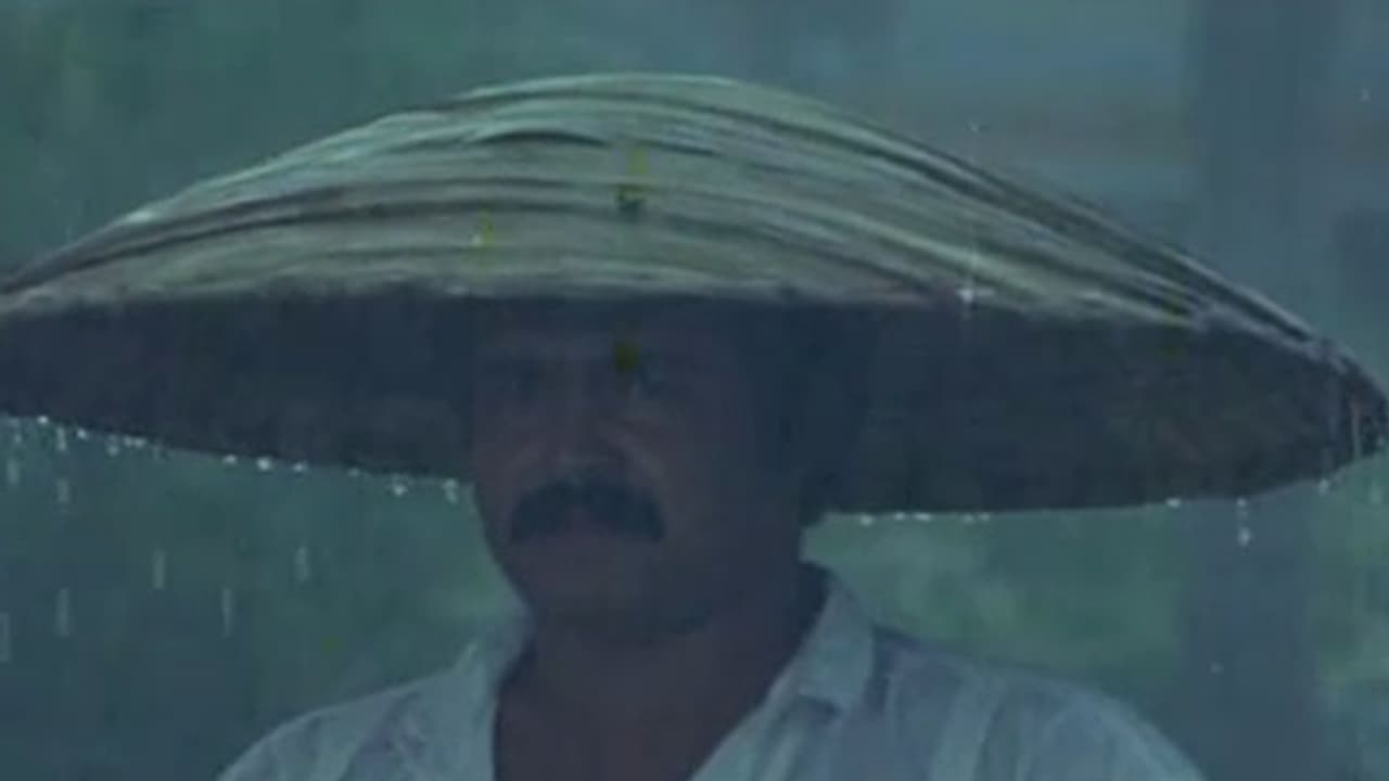 മഴ നനഞ്ഞ സിനിമകള്! മഴ നനഞ്ഞ സിനിമകള്!