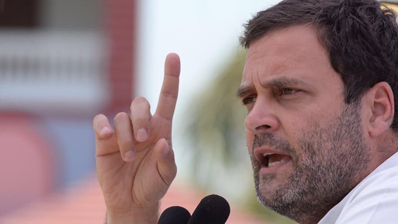 అమెరికాలో రాహుల్ గాంధీకి అరుదైన గుర్తింపు అమెరికాలో రాహుల్ గాంధీకి అరుదైన గుర్తింపు