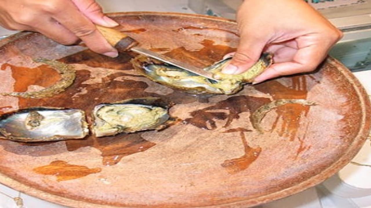 நன்னீரில் முத்து வளர்த்து லட்சக்கணக்கில் லாபம் பார்க்கலாம்… நன்னீரில் முத்து வளர்த்து லட்சக்கணக்கில் லாபம் பார்க்கலாம்…