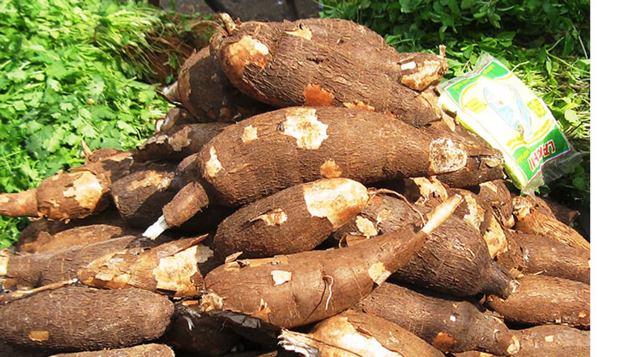 ആമസോണിൽ കിലോക്ക് 250, നാട്ടിൽ 50 രൂപ; താരമായി മരച്ചീനി