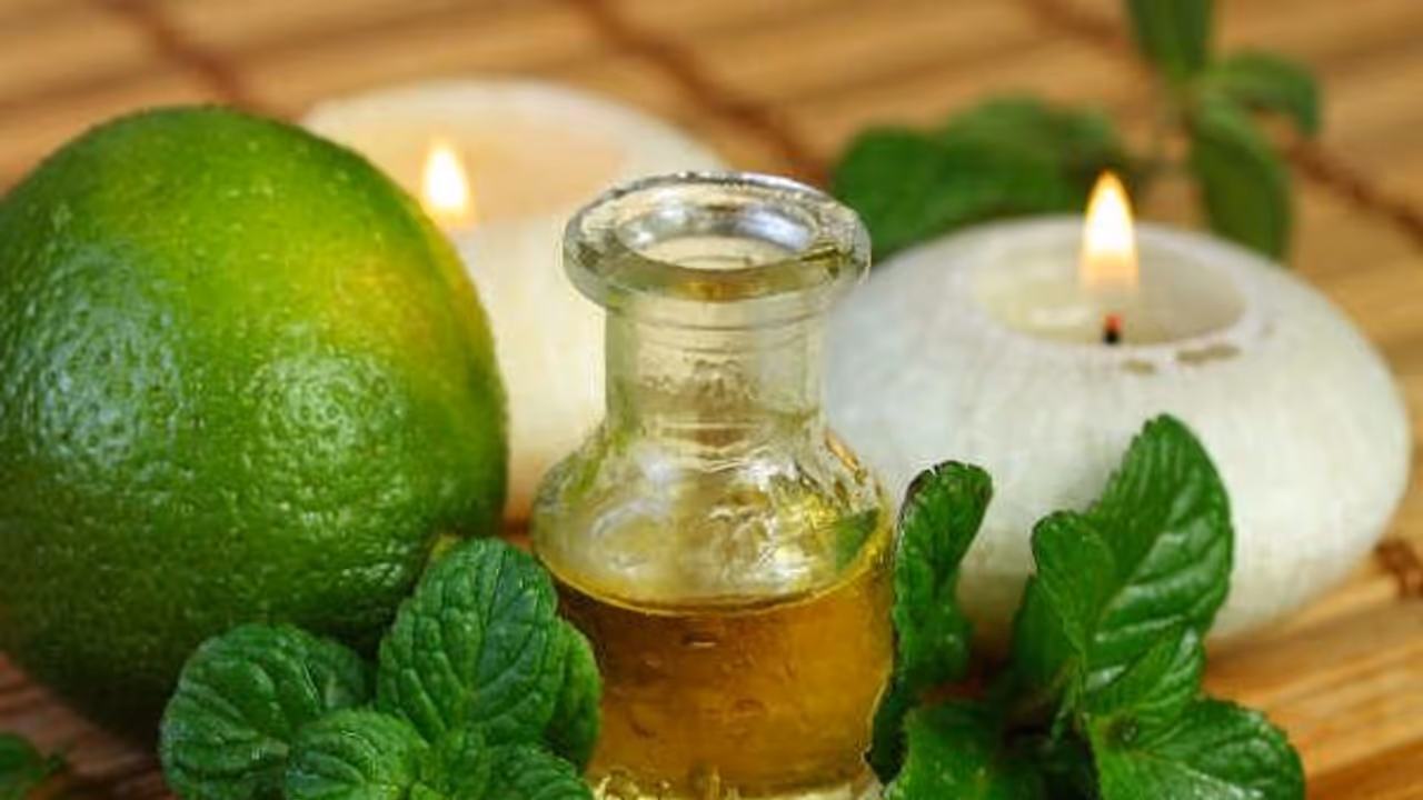 சிலவகை எண்ணெய்களும், அவற்றால் நமக்கு கிடைக்கும் அதிஅற்புத நன்மைகளும்… சிலவகை எண்ணெய்களும், அவற்றால் நமக்கு கிடைக்கும் அதிஅற்புத நன்மைகளும்…