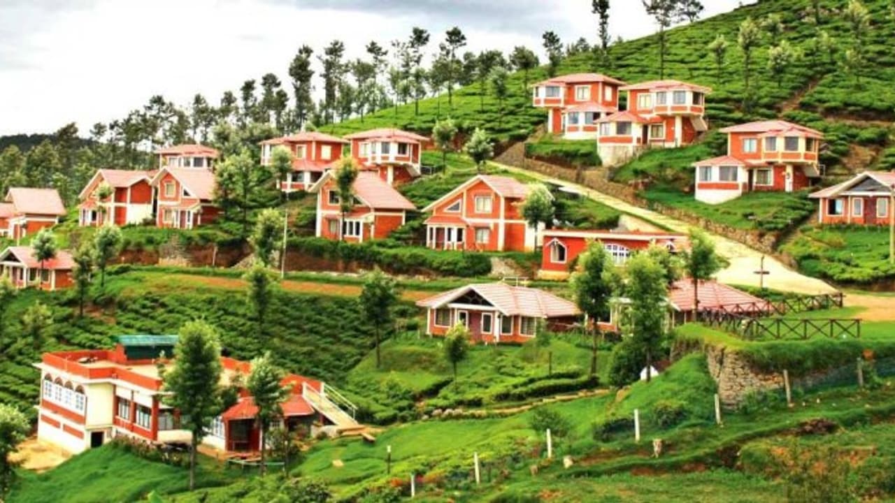 ഊട്ടിപ്പട്ടണം വീണ്ടും തുറന്നു, സഞ്ചാരികള് ഒഴുകുന്നു, പടക്കം പൊട്ടിച്ച് കച്ചവടക്കാര്! ഊട്ടിപ്പട്ടണം വീണ്ടും തുറന്നു, സഞ്ചാരികള് ഒഴുകുന്നു, പടക്കം പൊട്ടിച്ച് കച്ചവടക്കാര്!