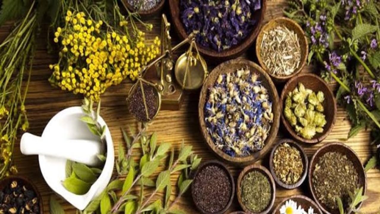 சிலவகையான மூலிகைப் பொடிகளும் அவற்றால் கிடைக்கும் நன்மைகளும்...