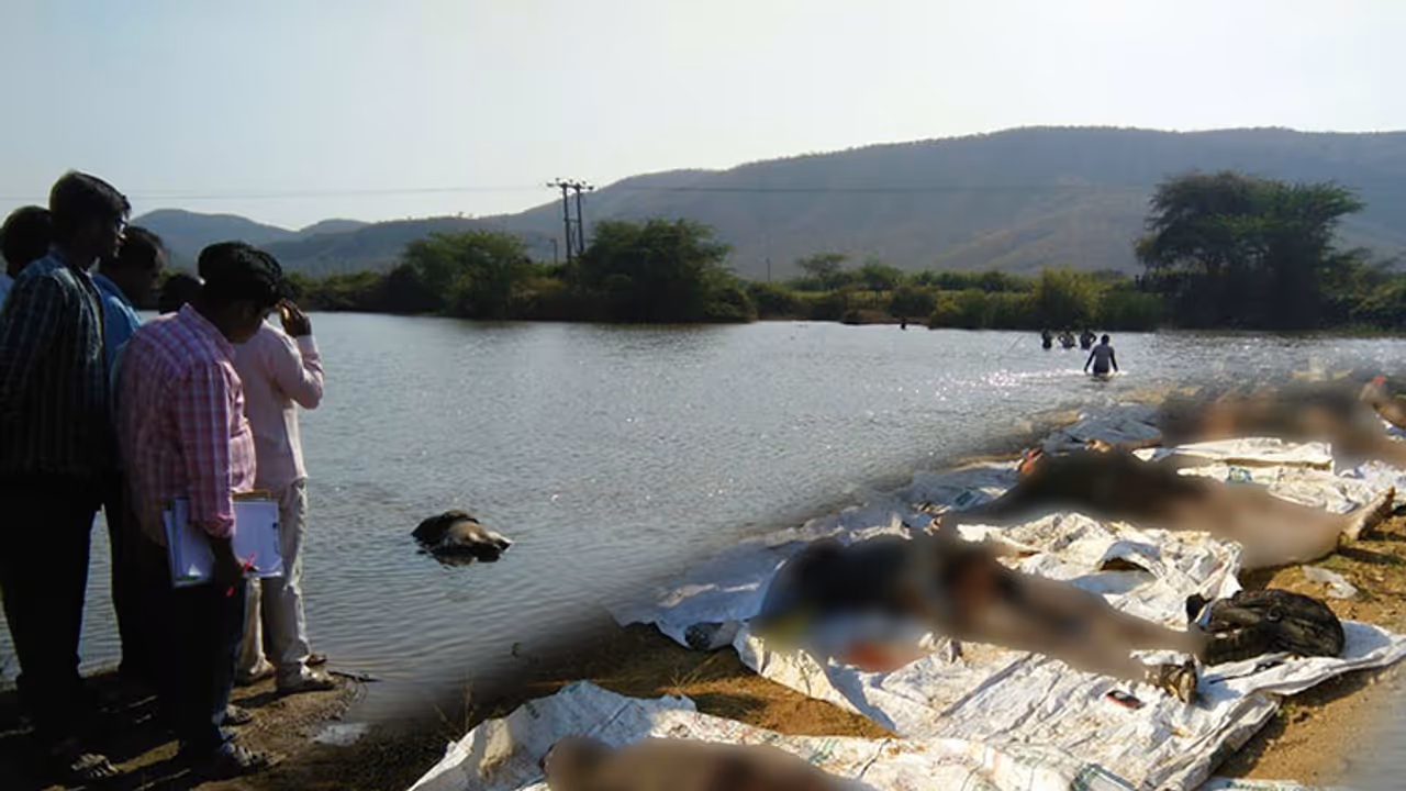 Five found dead after drowning in a lake in Andhra Pradesh Five found dead after drowning in a lake in Andhra Pradesh