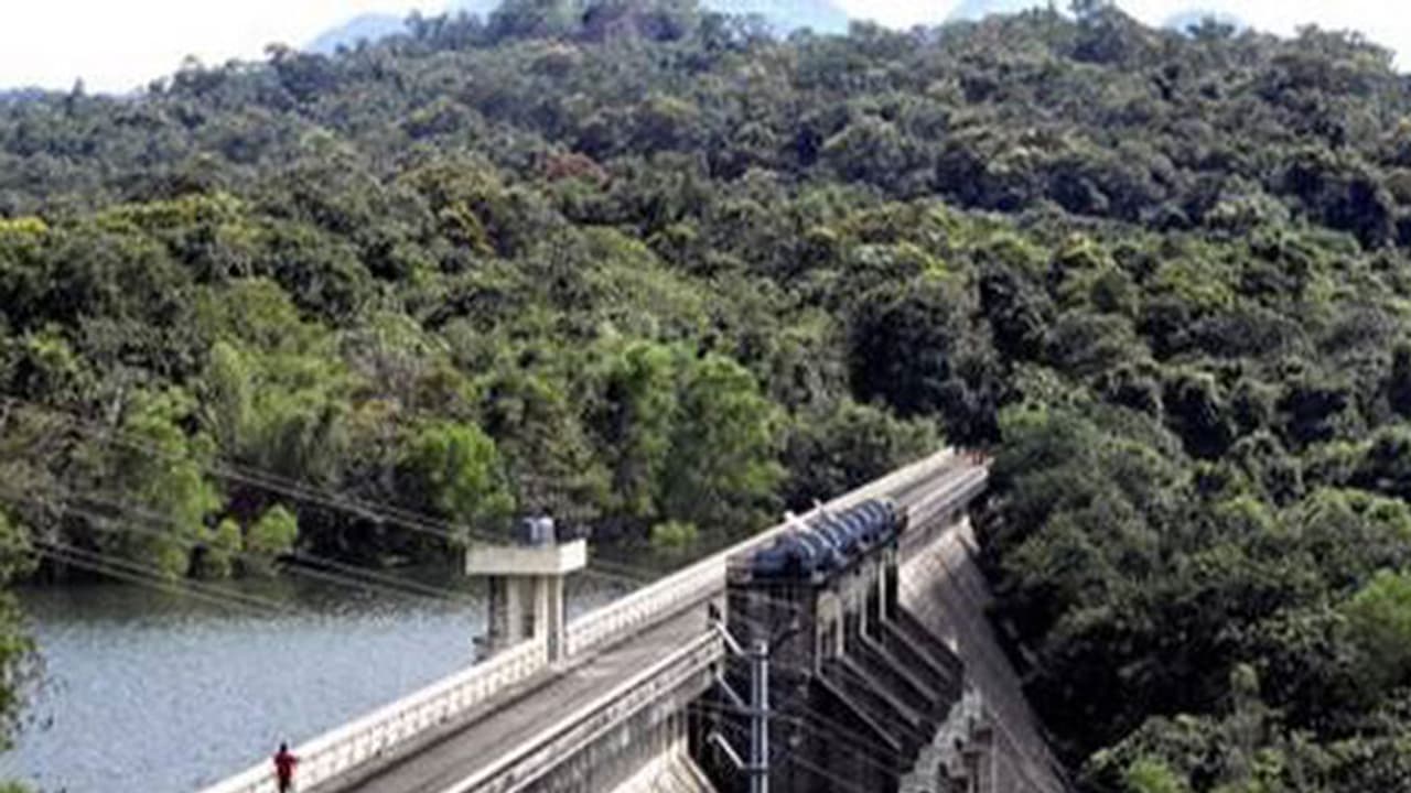 പേപ്പാറ അണക്കെട്ടിന്റെ ഷട്ടറുകൾ തുറന്നേക്കും; ജാഗ്രതാ നിർദ്ദേശം പേപ്പാറ അണക്കെട്ടിന്റെ ഷട്ടറുകൾ തുറന്നേക്കും; ജാഗ്രതാ നിർദ്ദേശം