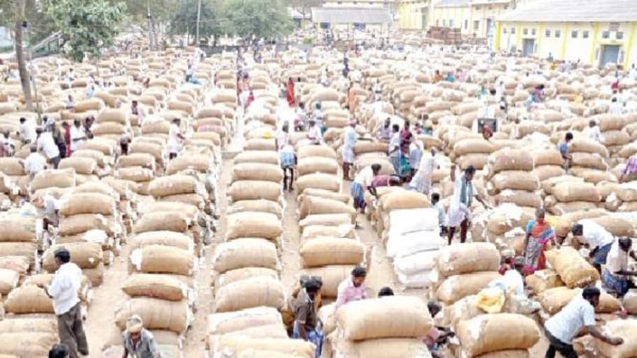தொடரும் லாரி ஸ்டிரைக்; தேங்கும் உணவுப் பொருட்கள்; வர்த்தக பாதிப்பாக ஏங்கும் விவசாயிகள்... தொடரும் லாரி ஸ்டிரைக்; தேங்கும் உணவுப் பொருட்கள்; வர்த்தக பாதிப்பாக ஏங்கும் விவசாயிகள்...