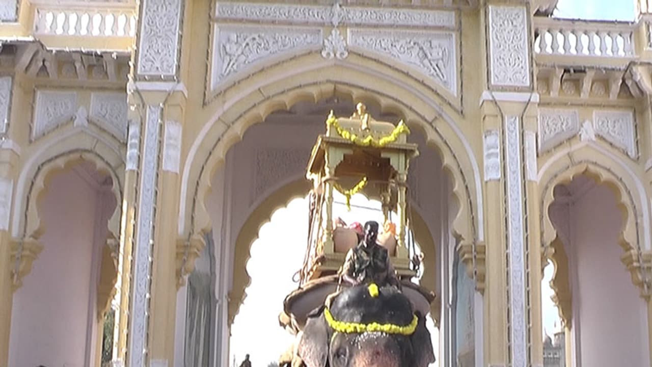 ದಸರಾ ಸಂಭ್ರಮಕ್ಕೆ ಭರ್ಜರಿ ತಾಲೀಮು ದಸರಾ ಸಂಭ್ರಮಕ್ಕೆ ಭರ್ಜರಿ ತಾಲೀಮು