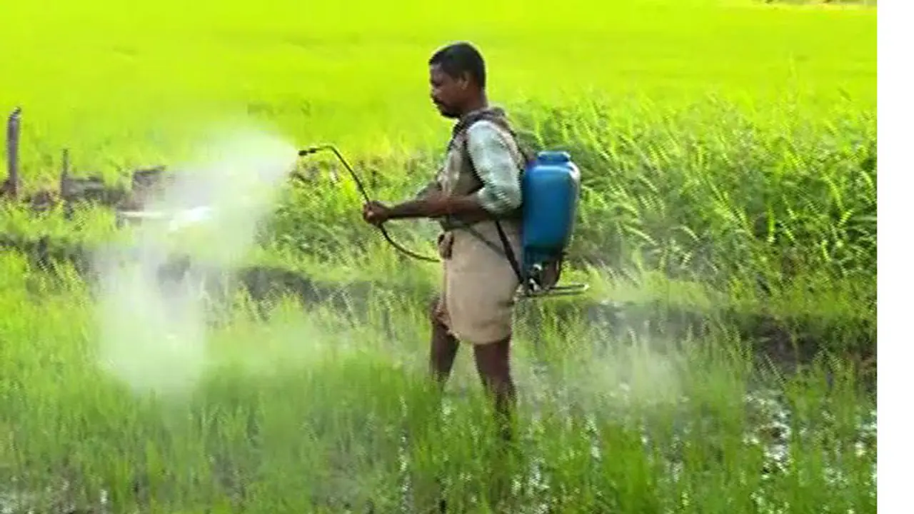 Endosulfan, the banned poison still served on our dining tables Endosulfan, the banned poison still served on our dining tables