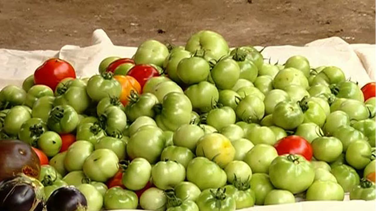 Now, Techies are weilding spades in Technopark Now, Techies are weilding spades in Technopark