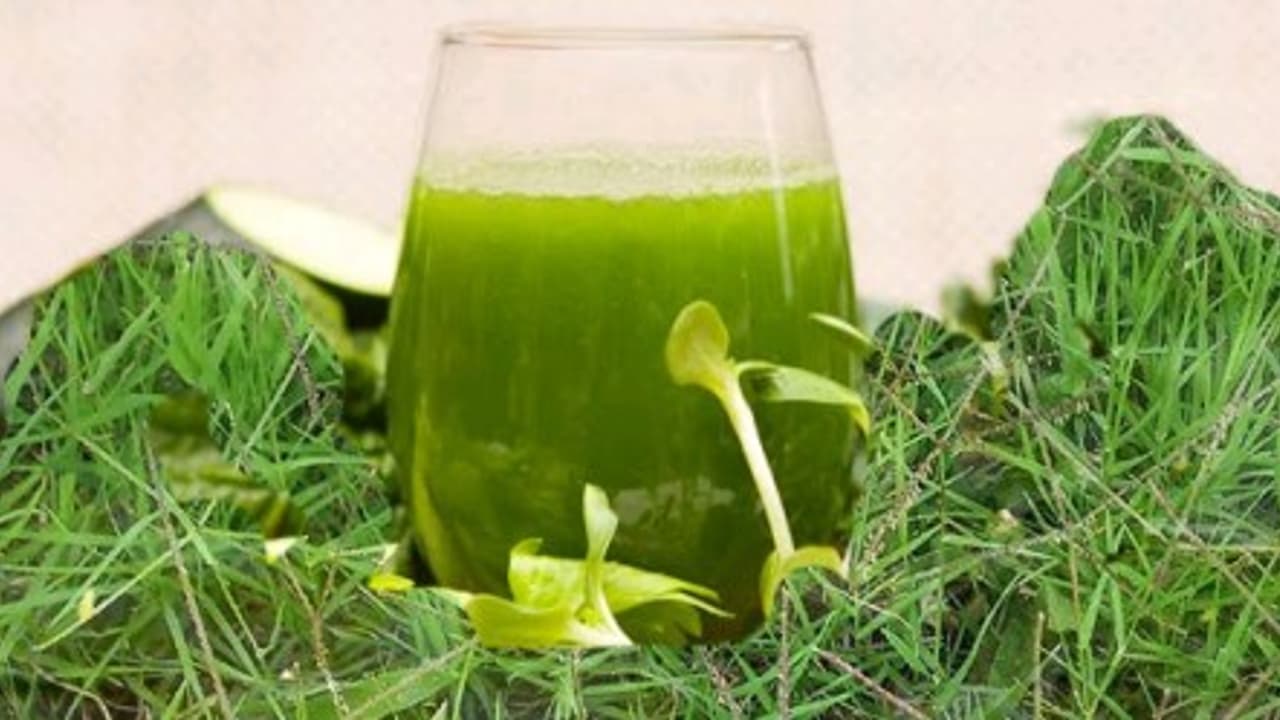 ஆரோக்கியத்தை அள்ளித் தரும் அருகம்புல்லின் மருத்துவப் பயன்கள்… ஆரோக்கியத்தை அள்ளித் தரும் அருகம்புல்லின் மருத்துவப் பயன்கள்…