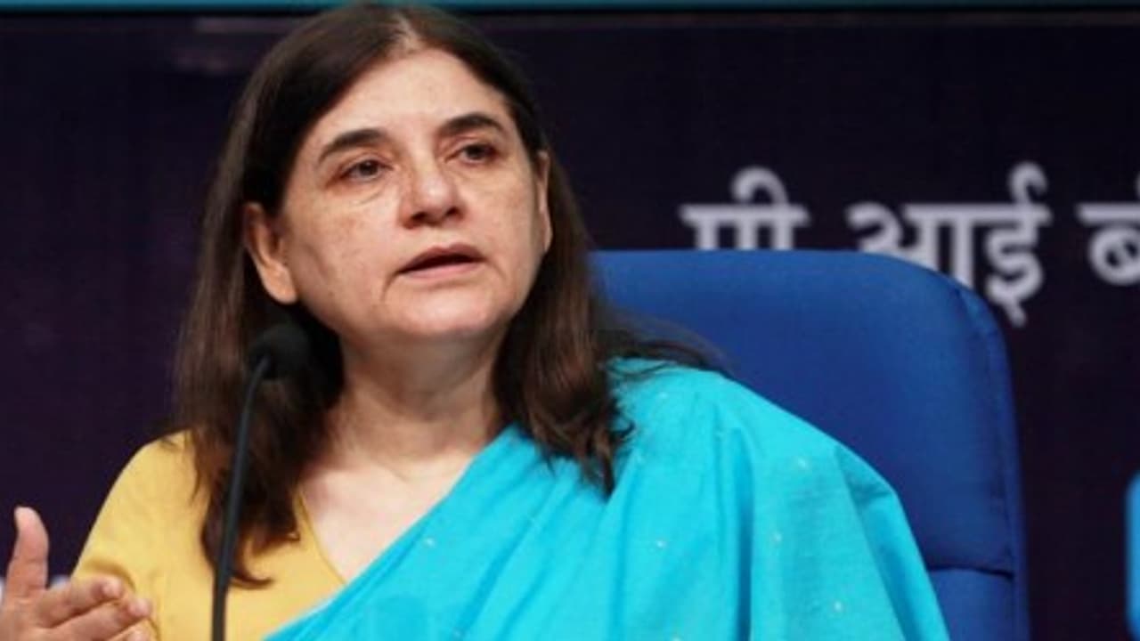 Missionaries of Charity to join government’s adoption system, says Maneka Gandhi