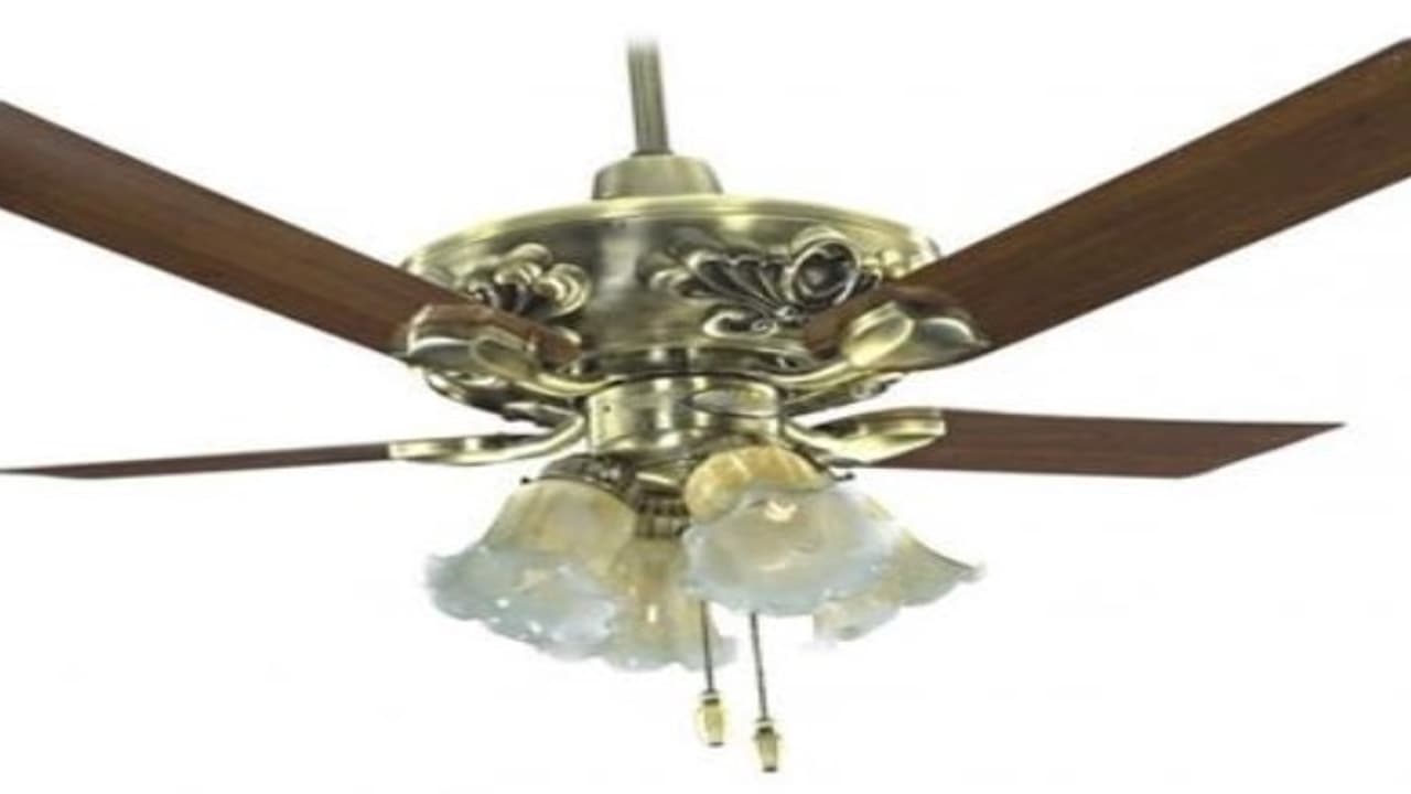 மின் விசிறி தயாரிப்பில் வீனஸ்....... புது பொலிவுடன் 65 மாடல்கள் மின் விசிறி தயாரிப்பில் வீனஸ்....... புது பொலிவுடன் 65 மாடல்கள்