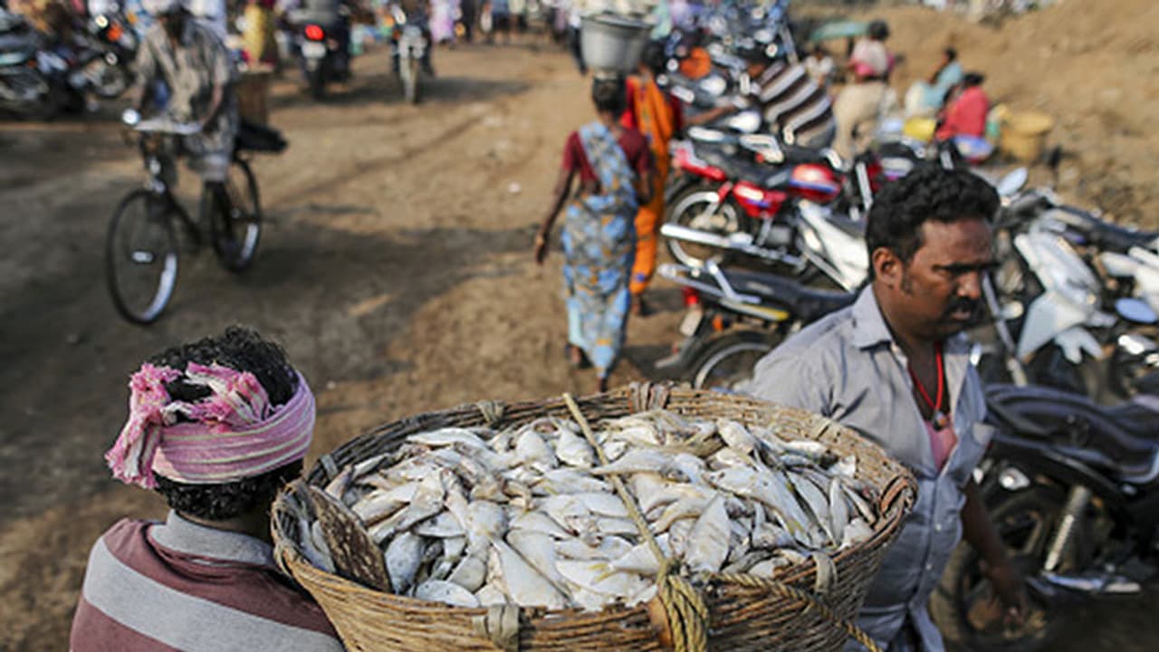 Sushma Swaraj to meet aggrieved fishermen from Tamil Nadu Sushma Swaraj to meet aggrieved fishermen from Tamil Nadu