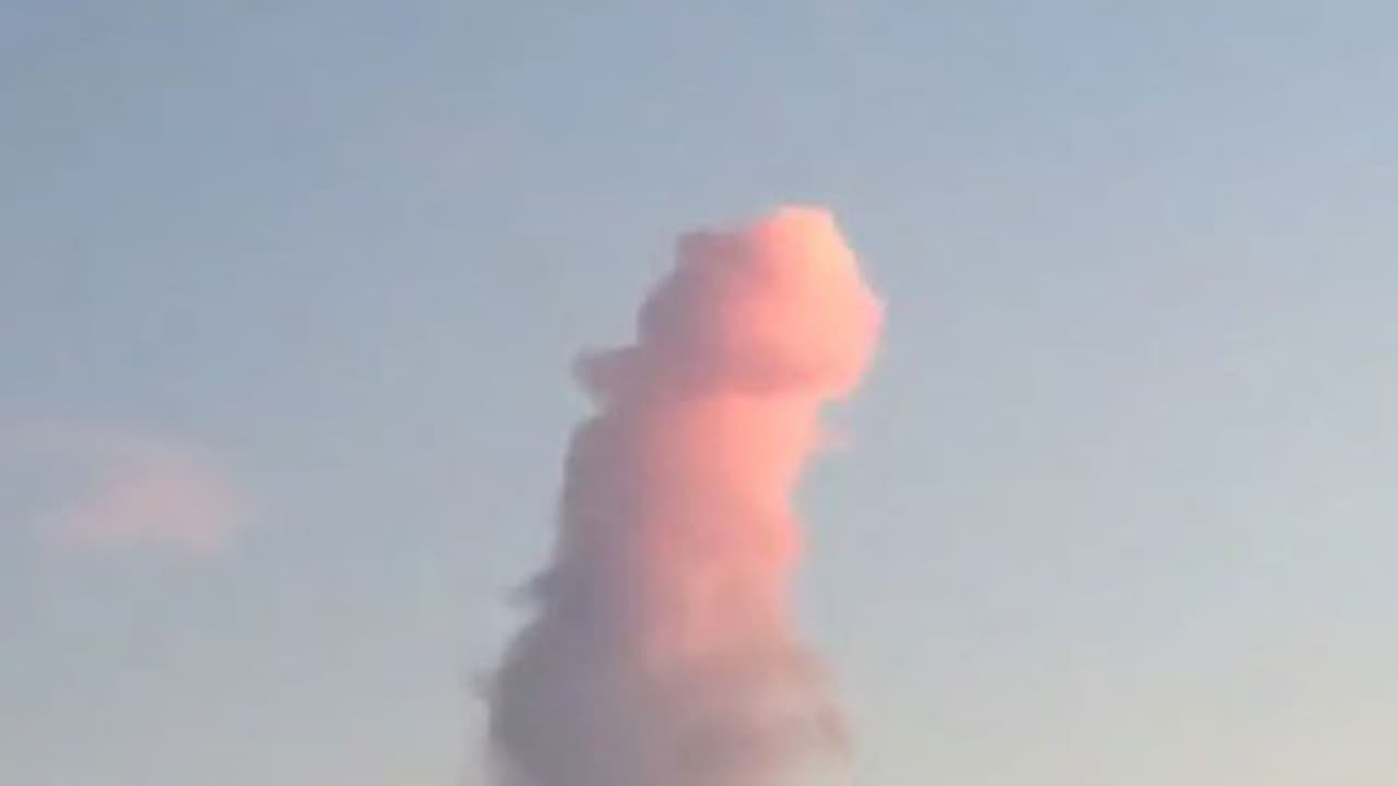 Nature sends its regards in the form of a d*ck pic Nature sends its regards in the form of a d*ck pic