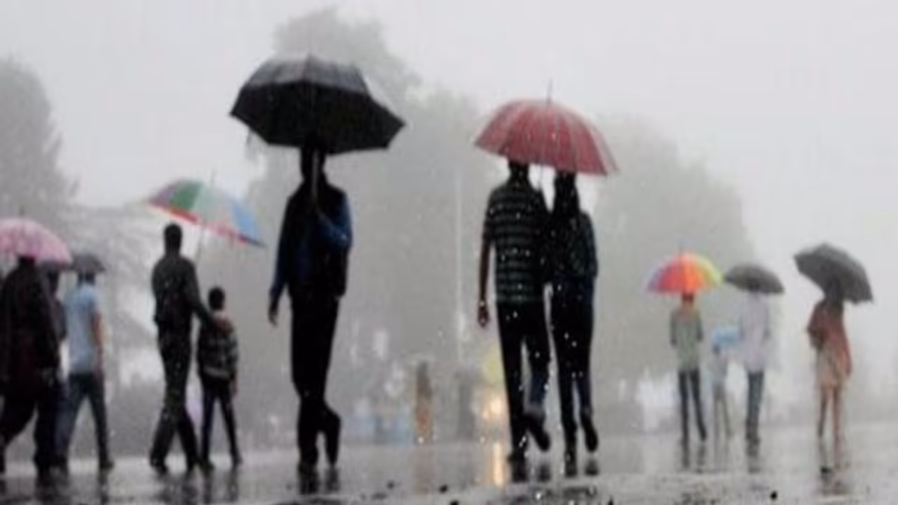 తమిళనాడులో భారీ వర్షాలు.. పలు జిల్లాల్లో పాఠశాలలకు సెలవులు ప్రకటించిన ప్రభుత్వం తమిళనాడులో భారీ వర్షాలు.. పలు జిల్లాల్లో పాఠశాలలకు సెలవులు ప్రకటించిన ప్రభుత్వం