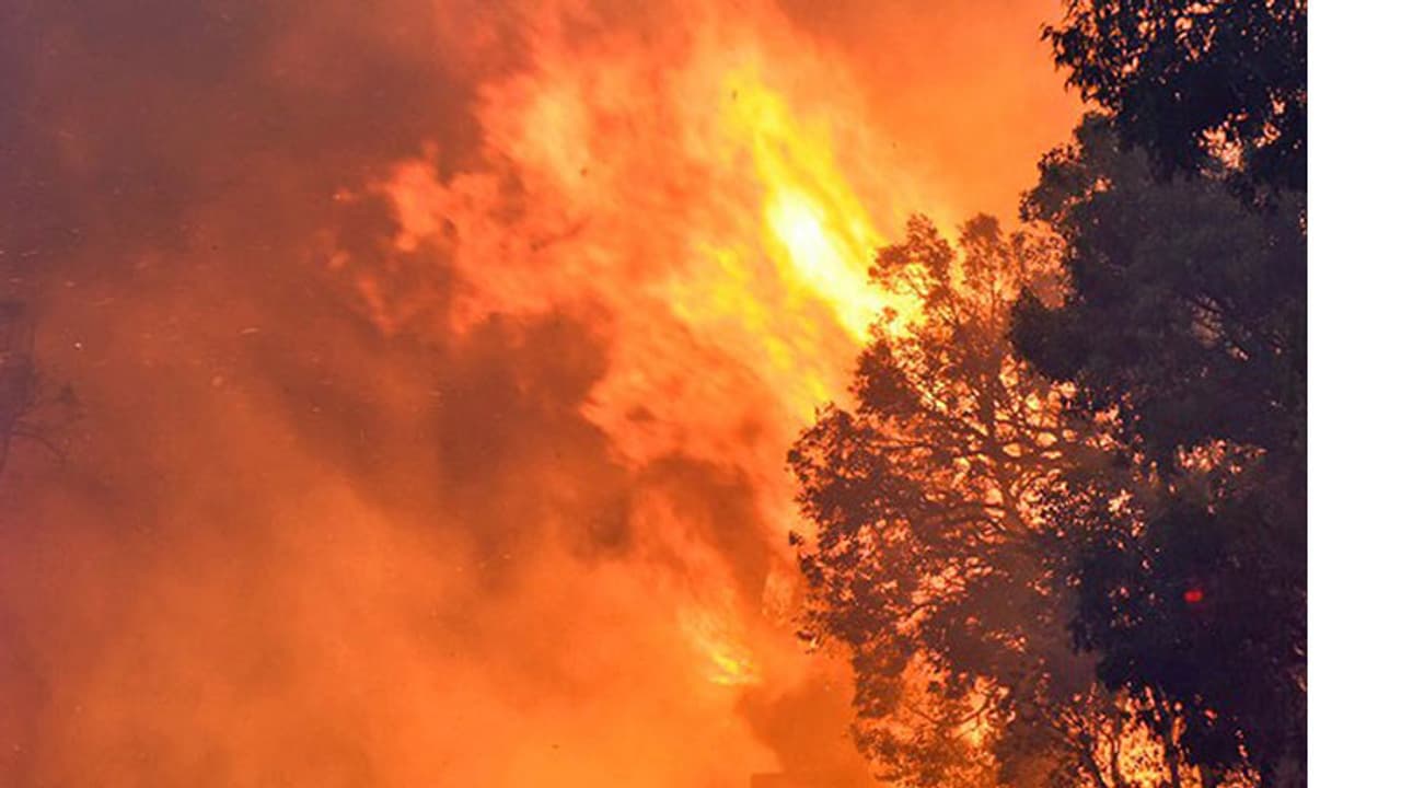 ಕೊಡಗಿನ ಆನೇಕಾಡಲ್ಲಿ 4 ದಿನವಾದರೂ ನಿಯಂತ್ರಣಕ್ಕೆ ಬಾರದ ಕಾಳ್ಗಿಚ್ಚು ಕೊಡಗಿನ ಆನೇಕಾಡಲ್ಲಿ 4 ದಿನವಾದರೂ ನಿಯಂತ್ರಣಕ್ಕೆ ಬಾರದ ಕಾಳ್ಗಿಚ್ಚು