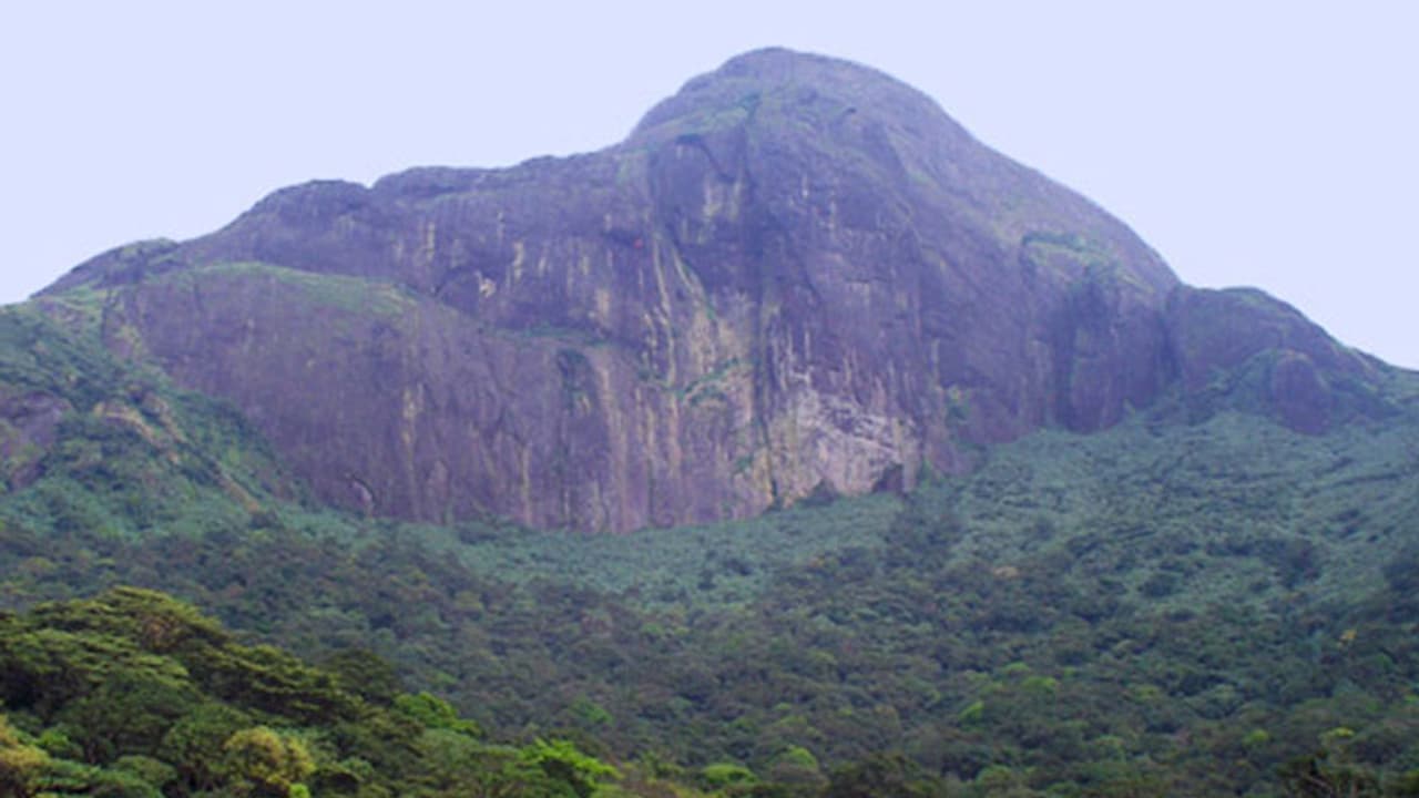 കാത്തിരുന്നവർക്ക് സന്തോഷവാർത്ത! അഗസ്ത്യാർകൂടം സീസൺ ട്രക്കിംഗിന് റെഡിയാണോ, ഓൺലൈൻ രജിസ്ടേഷൻ ആരംഭിക്കുന്നു കാത്തിരുന്നവർക്ക് സന്തോഷവാർത്ത! അഗസ്ത്യാർകൂടം സീസൺ ട്രക്കിംഗിന് റെഡിയാണോ, ഓൺലൈൻ രജിസ്ടേഷൻ ആരംഭിക്കുന്നു