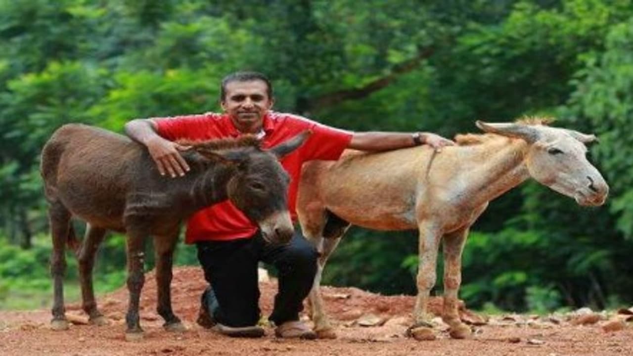 கழுதை மேய்த்து லட்சக்கணக்கில் சம்பாதிக்கும் கேரள இளைஞர் சாப்ட்வேர் வேலையை உதறி கழுதைப்பால் நிறுவனம் தொடங்கினார்