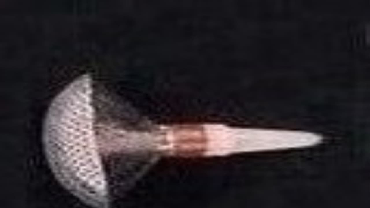 பூச்சிகளை கண்டறியும் கருவியால் எவ்வளவு நன்மைகள் இருக்கு தெரியுமா? பூச்சிகளை கண்டறியும் கருவியால் எவ்வளவு நன்மைகள் இருக்கு தெரியுமா?