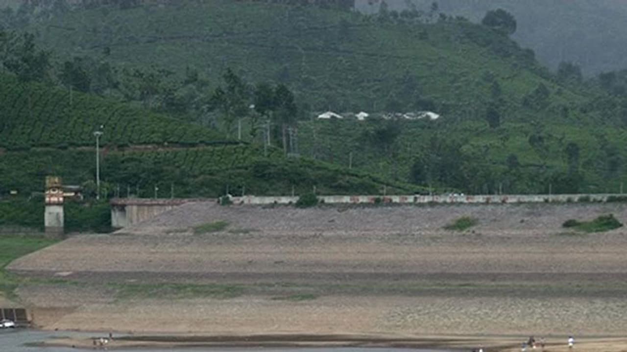 ആനയിറങ്ങലില് ബോട്ടിങ്ങ് നിർത്തി; സ്വൈരവിഹാരം നടത്തി കാട്ടാനക്കൂട്ടം ആനയിറങ്ങലില് ബോട്ടിങ്ങ് നിർത്തി; സ്വൈരവിഹാരം നടത്തി കാട്ടാനക്കൂട്ടം