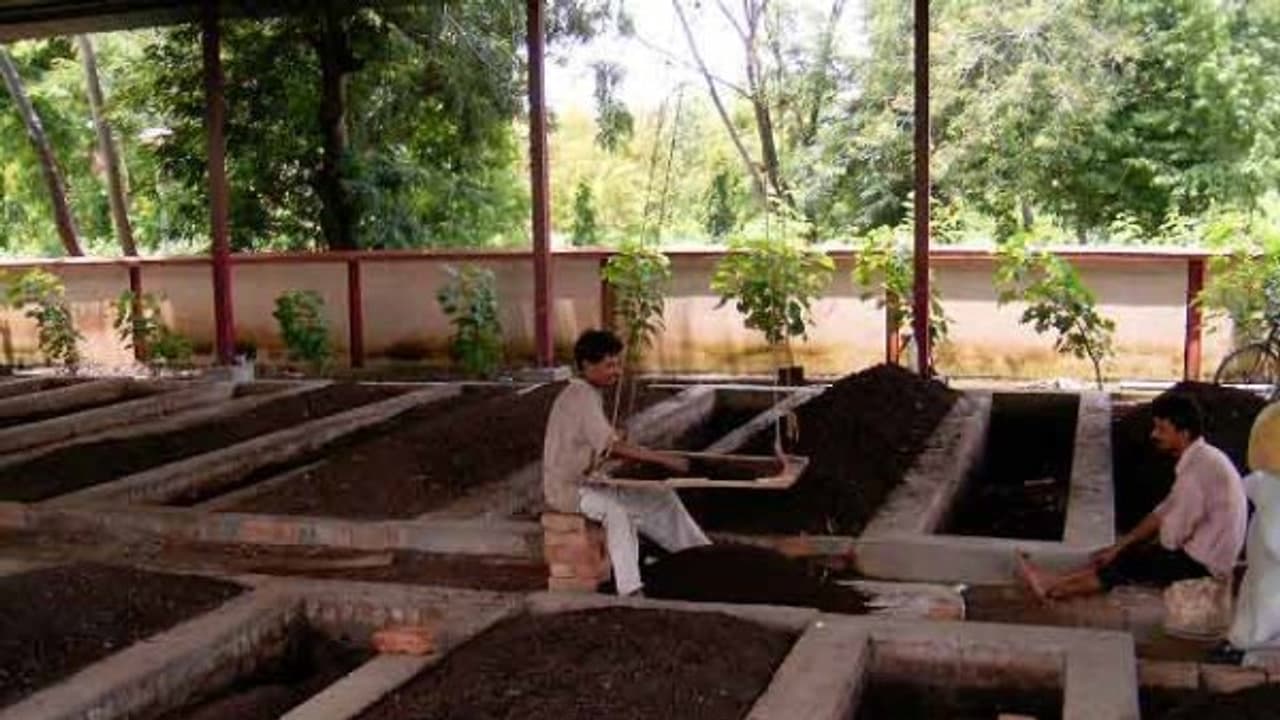 மண்புழு உர சேமிப்பு முறையும் அதன் நன்மைகளும் இதோ... மண்புழு உர சேமிப்பு முறையும் அதன் நன்மைகளும் இதோ...