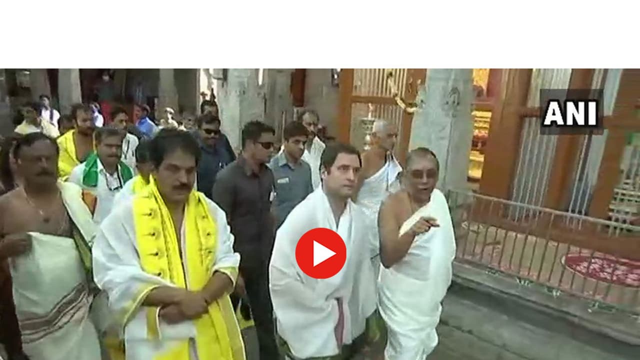 సౌత్ ఇండియా పంచె కట్టులో రాహుల్ గాంధీ (వీడియో) సౌత్ ఇండియా పంచె కట్టులో రాహుల్ గాంధీ (వీడియో)