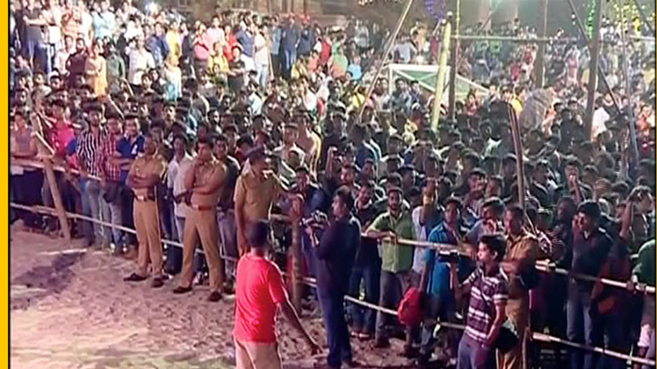 പുതുവല്സരാഘോഷം; വിനോദസഞ്ചാരമേഖലയ്ക്ക് തിരിച്ചടിയായി പോലീസ് നിയന്ത്രണം പുതുവല്സരാഘോഷം; വിനോദസഞ്ചാരമേഖലയ്ക്ക് തിരിച്ചടിയായി പോലീസ് നിയന്ത്രണം