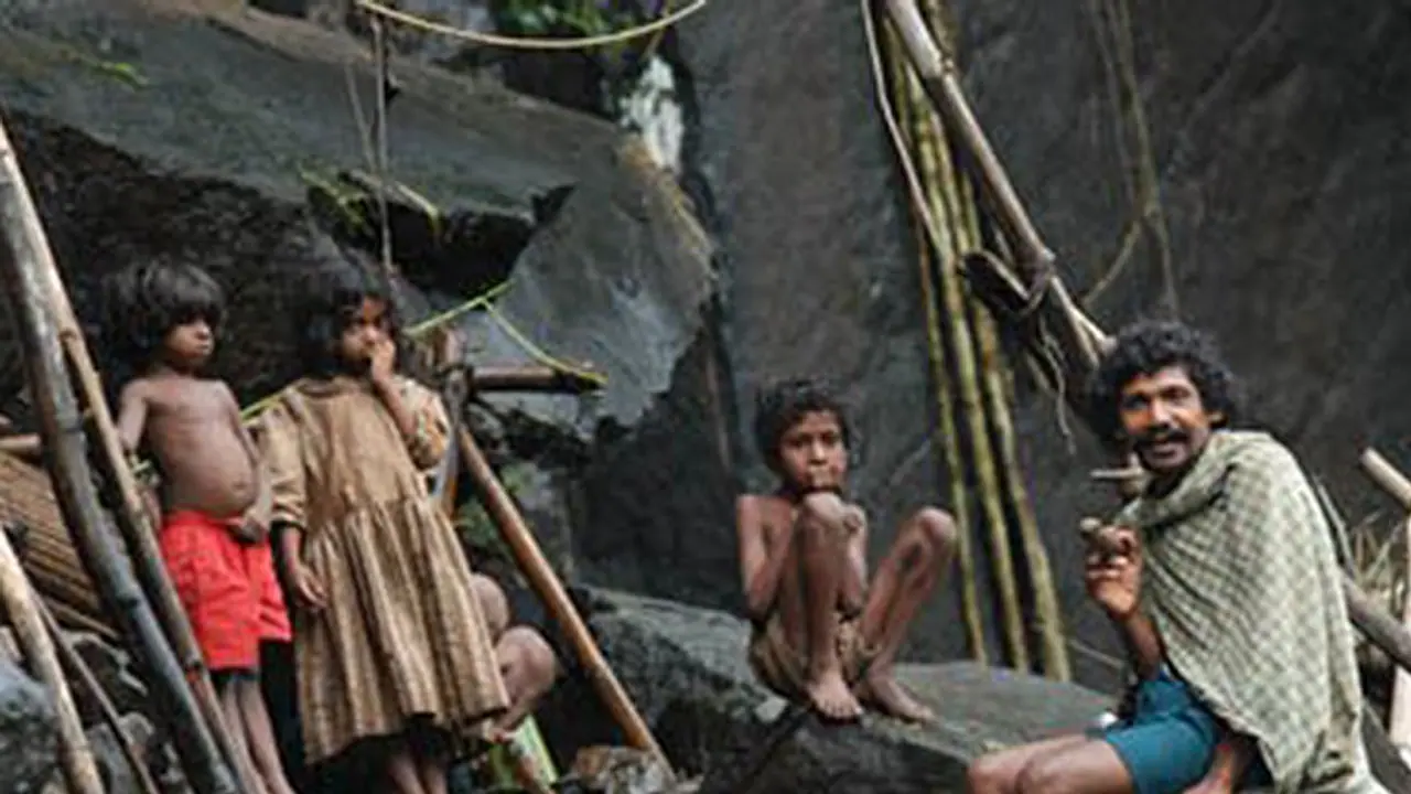 Blood samples of Kerala tribe smuggled out for pharma companies Blood samples of Kerala tribe smuggled out for pharma companies