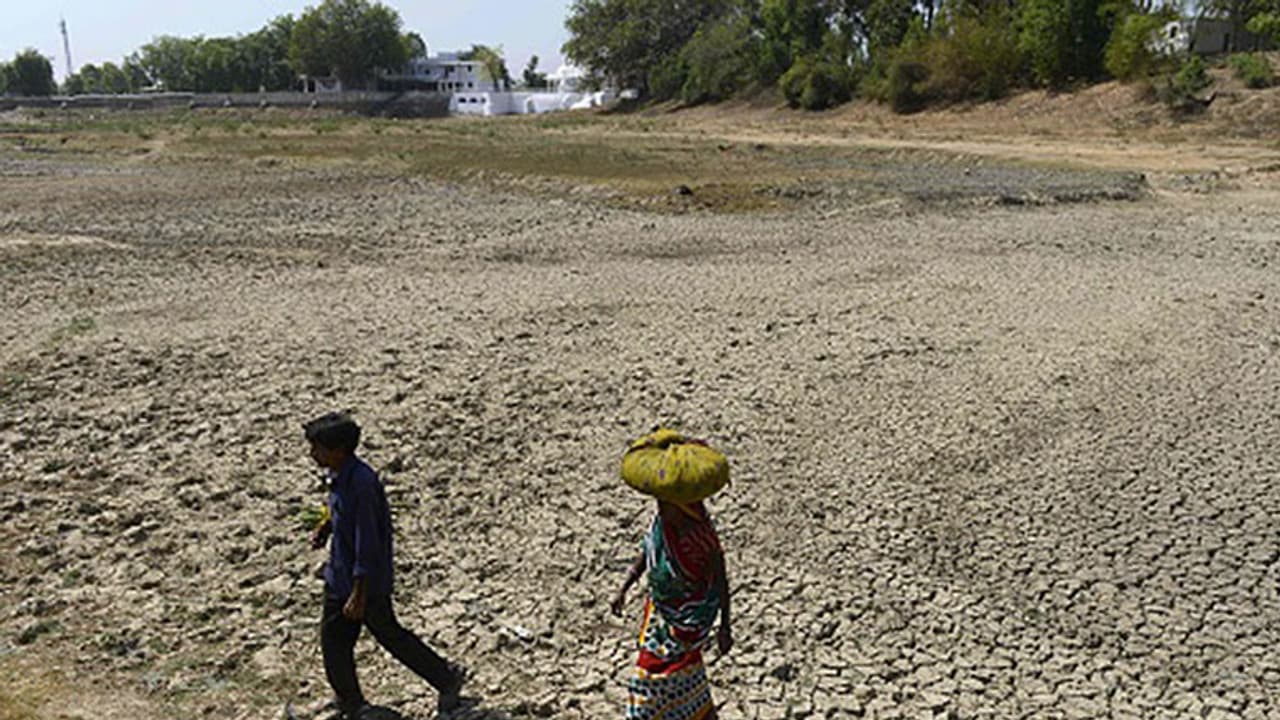 ರಾಜ್ಯದಲ್ಲಿ ಹೆಚ್ಚಾಗಿದೆ ಬಿಸಿಲಿನ ಝಳ; ವಾಡಿಕೆಗಿಂತ 3 ಡಿಗ್ರಿ ಉಷ್ಣಾಂಶ ಹೆಚ್ಚಳ ರಾಜ್ಯದಲ್ಲಿ ಹೆಚ್ಚಾಗಿದೆ ಬಿಸಿಲಿನ ಝಳ; ವಾಡಿಕೆಗಿಂತ 3 ಡಿಗ್ರಿ ಉಷ್ಣಾಂಶ ಹೆಚ್ಚಳ