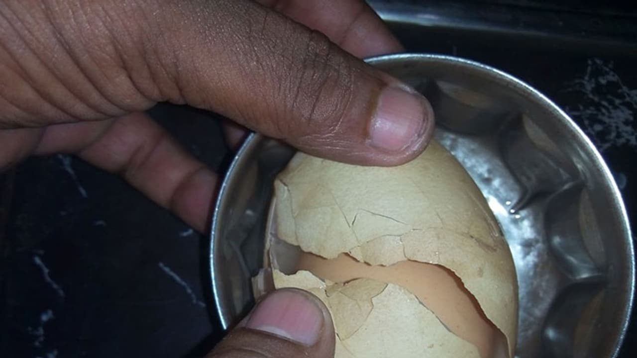 കോഴി മുട്ടയ്ക്കുള്ളിൽ മറ്റൊരു മുട്ട കോഴി മുട്ടയ്ക്കുള്ളിൽ മറ്റൊരു മുട്ട