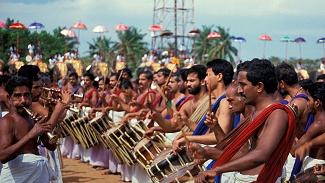 Thrissur Pooram: All you need to know about the spectacular temple festival Thrissur Pooram: All you need to know about the spectacular temple festival
