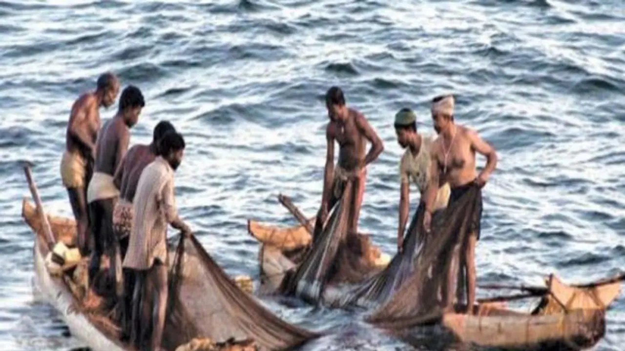 மீன்களை எத்தனை முறை அறுவடை செய்யலாம்? கேள்விக்கு பதில் உள்ளே... மீன்களை எத்தனை முறை அறுவடை செய்யலாம்? கேள்விக்கு பதில் உள்ளே...