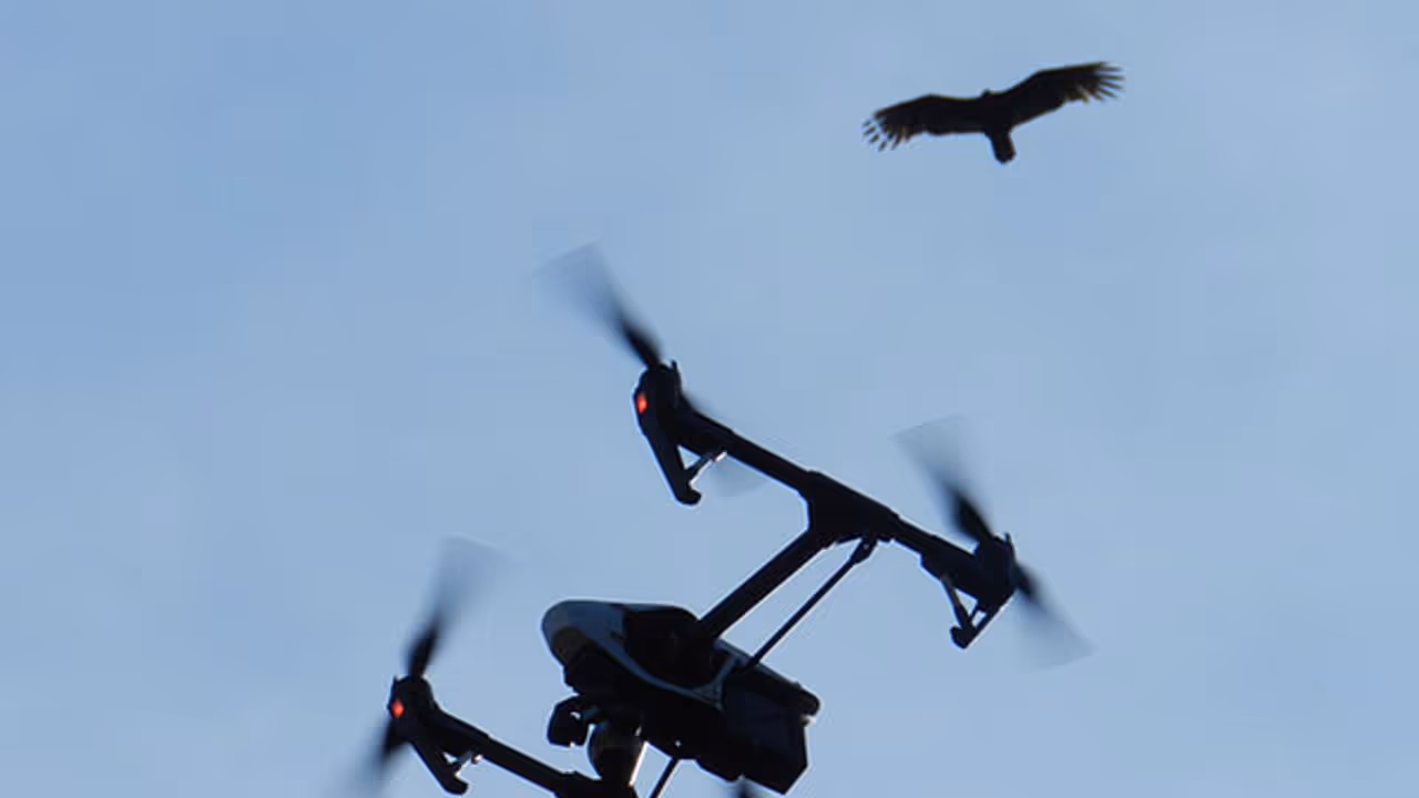 ವೈದ್ಯಲೋಕದಲ್ಲೊಂದು ಕ್ರಾಂತಿ: ಡ್ರೋಣ್ ಮೂಲಕ ರಕ್ತ ರವಾನೆ!