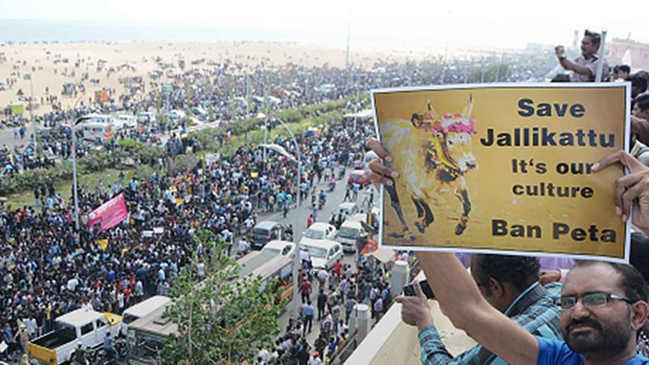 Tamil Nadu ministers committed to hold Jallikattu Tamil Nadu ministers committed to hold Jallikattu