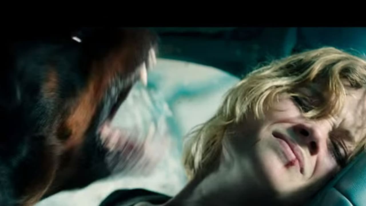 ഡോണ്ട് ബ്രിത്ത്: ശ്വസം കഴിക്കില്ല, ഈ ട്രെയിലര് കണ്ടുതീരും വരെ ഡോണ്ട് ബ്രിത്ത്: ശ്വസം കഴിക്കില്ല, ഈ ട്രെയിലര് കണ്ടുതീരും വരെ