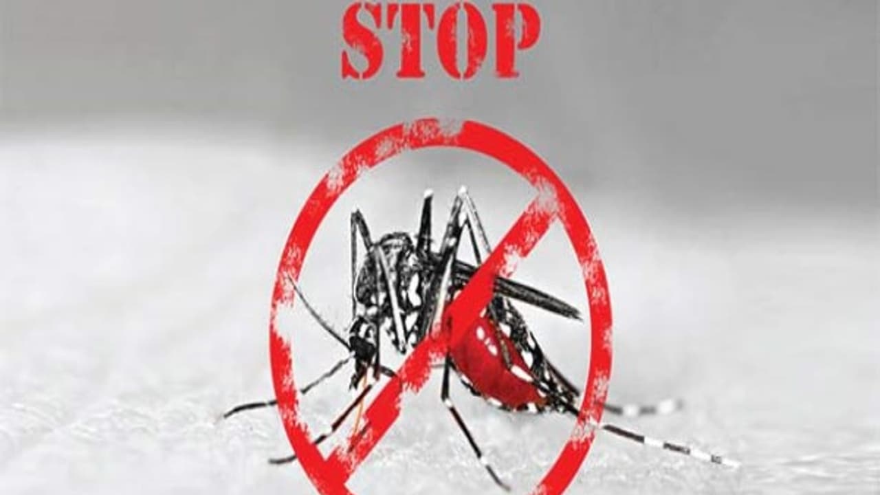 ಡೆಂಗ್ಯೂ ಪೀಡಿತರ ಪಾಲಿಗೆ ಆಪದ್ಭಾಂದವ ಹಿಟ್ ಪ್ಲೇಟ್ಲೆಟ್ ಹೆಲ್ಪ್ಲೈನ್ ಡೆಂಗ್ಯೂ ಪೀಡಿತರ ಪಾಲಿಗೆ ಆಪದ್ಭಾಂದವ ಹಿಟ್ ಪ್ಲೇಟ್ಲೆಟ್ ಹೆಲ್ಪ್ಲೈನ್