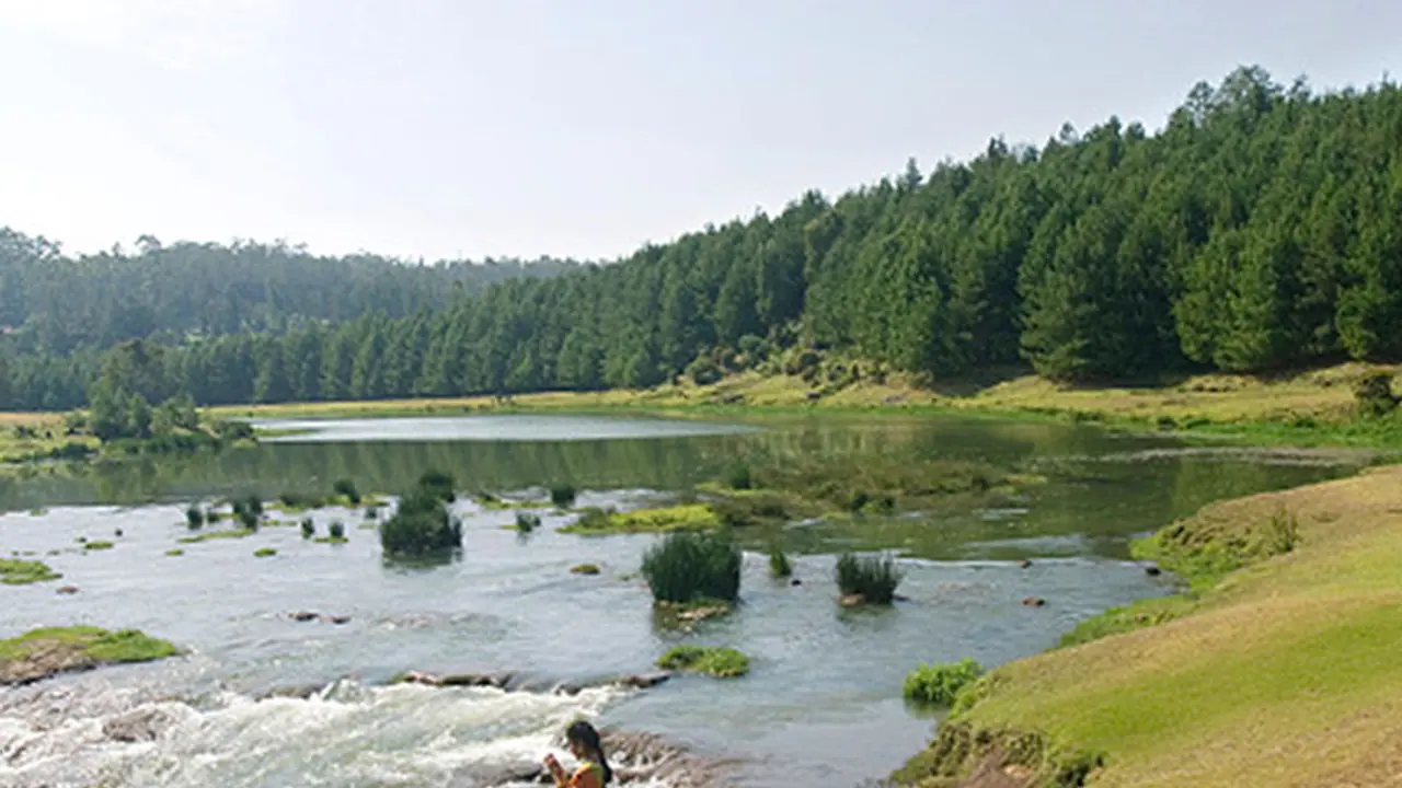 International day of forests: Nilgiris river gets a new lease of life