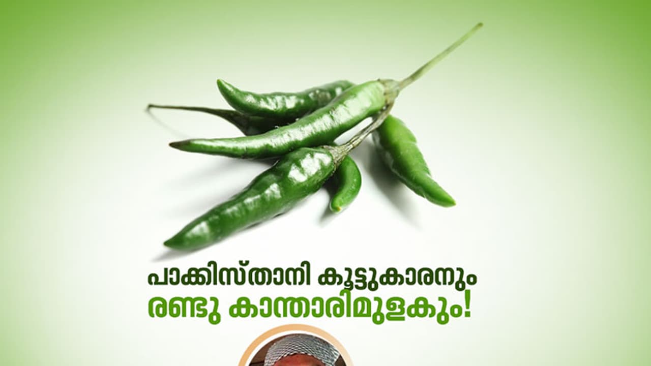 ഒരു കാന്താരി മുളക് കൊടുത്ത പണിയേ! ഒരു കാന്താരി മുളക് കൊടുത്ത പണിയേ!